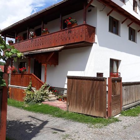 Molnar Vendeghaz Bed & Breakfast Praid Ngoại thất bức ảnh