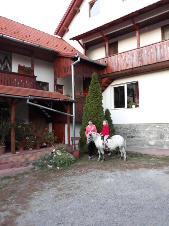Molnar Vendeghaz Bed & Breakfast Praid Ngoại thất bức ảnh