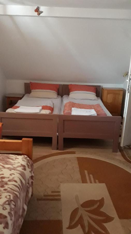 Molnar Vendeghaz Bed & Breakfast Praid Ngoại thất bức ảnh
